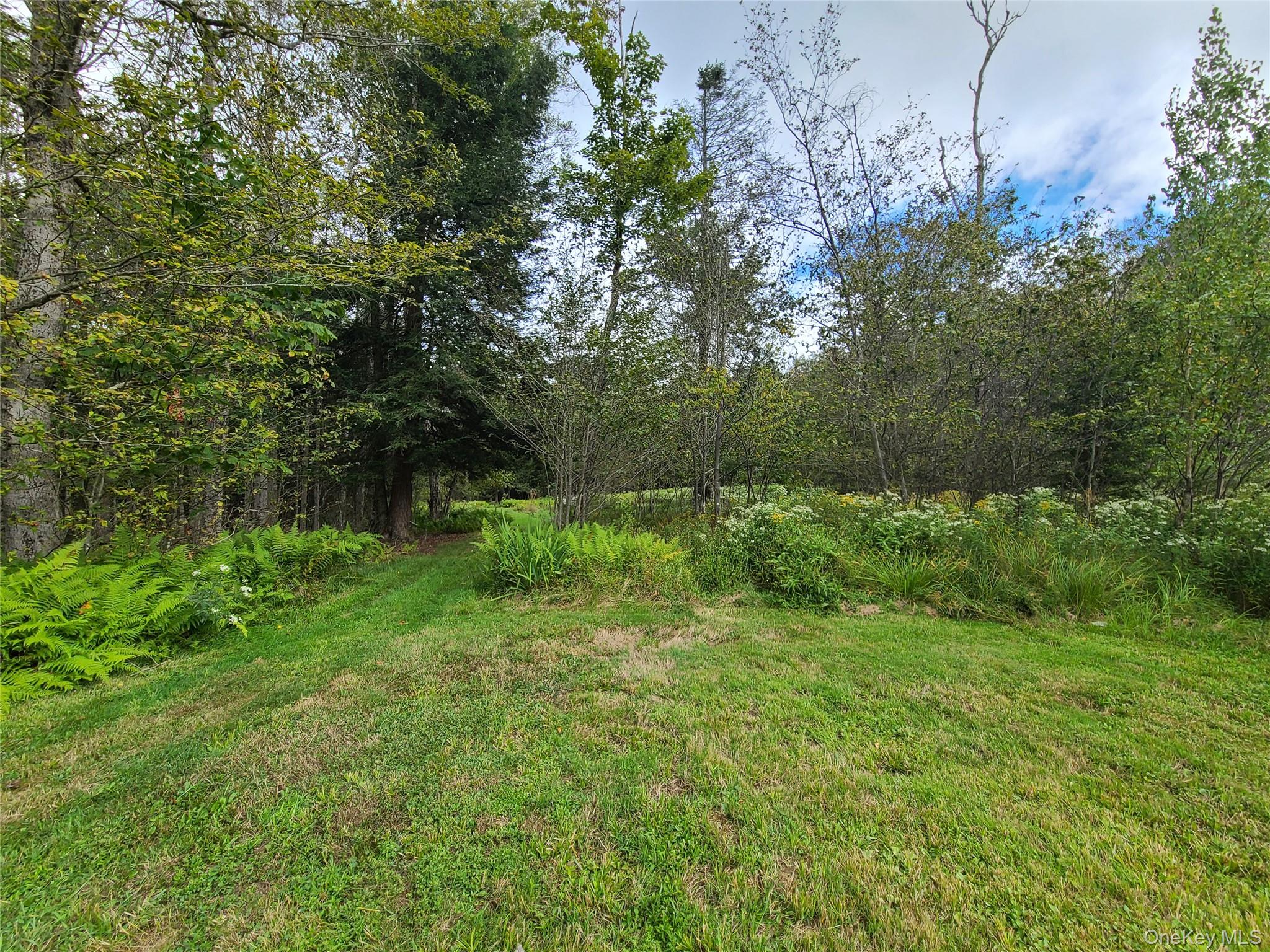 82 Benton Hollow Road Liberty, NY 12754 - Photo 25 of 36 a view of backyard with green space