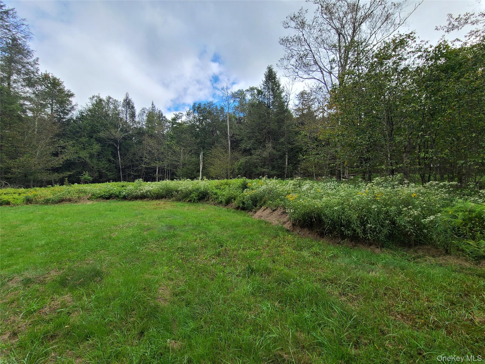 82 Benton Hollow Road Liberty, NY 12754 - Photo 26 of 36 a view of a grassy field with trees in the background