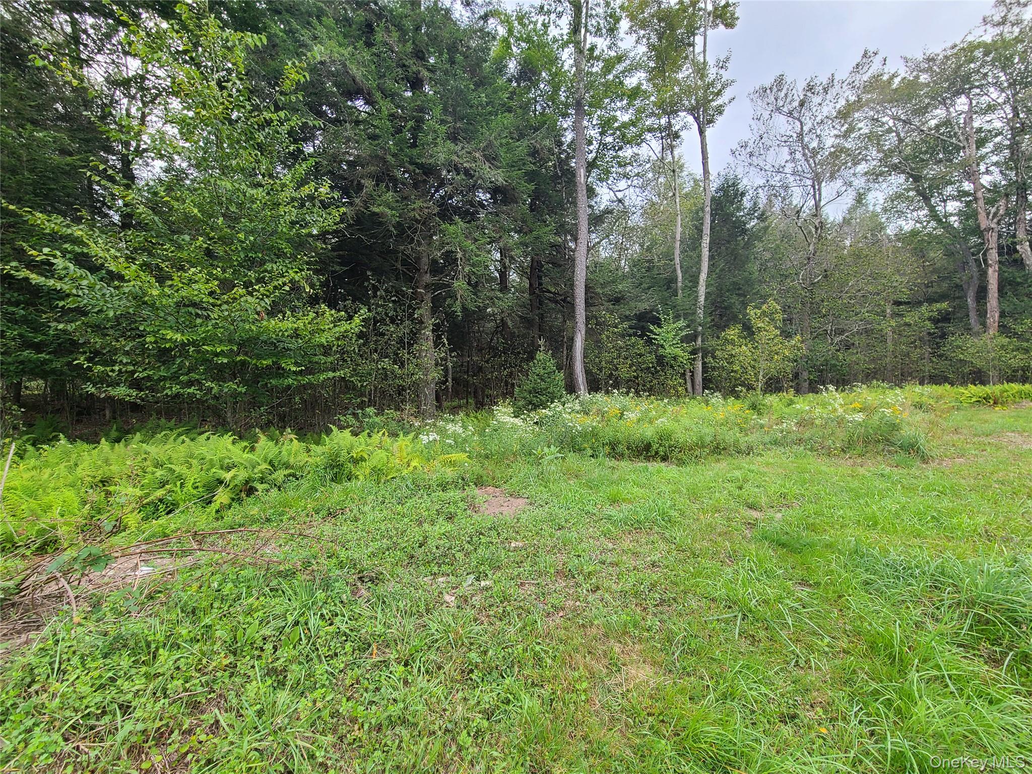 82 Benton Hollow Road Liberty, NY 12754 - Photo 27 of 36 a view of outdoor space and yard