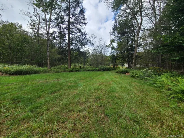 a view of outdoor space and yard