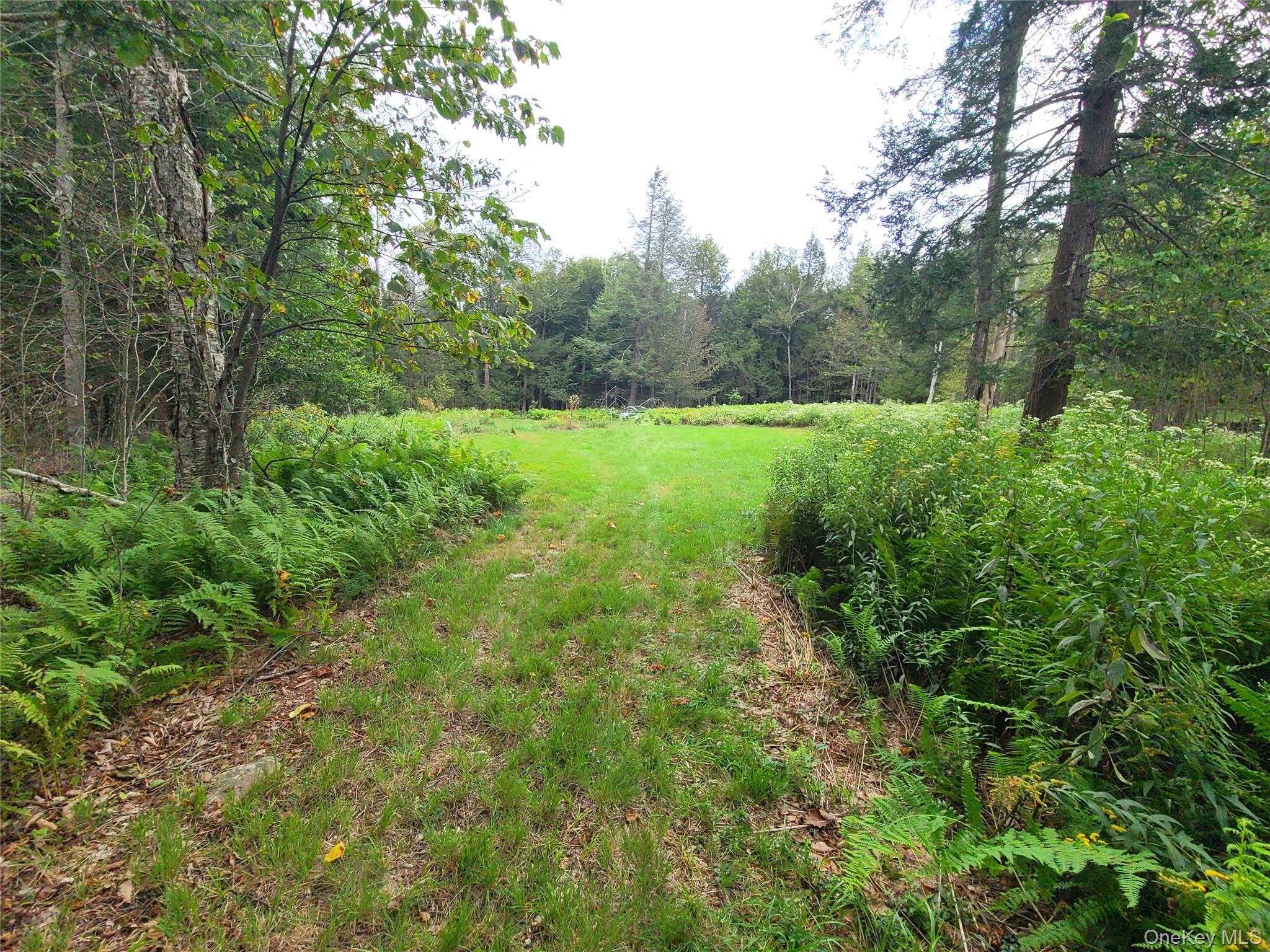 82 Benton Hollow Road Liberty, NY 12754 - Photo 29 of 36 a view of outdoor space and yard