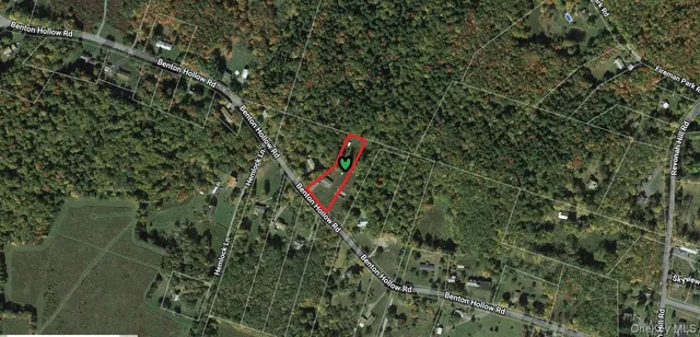 a bird view of a garden