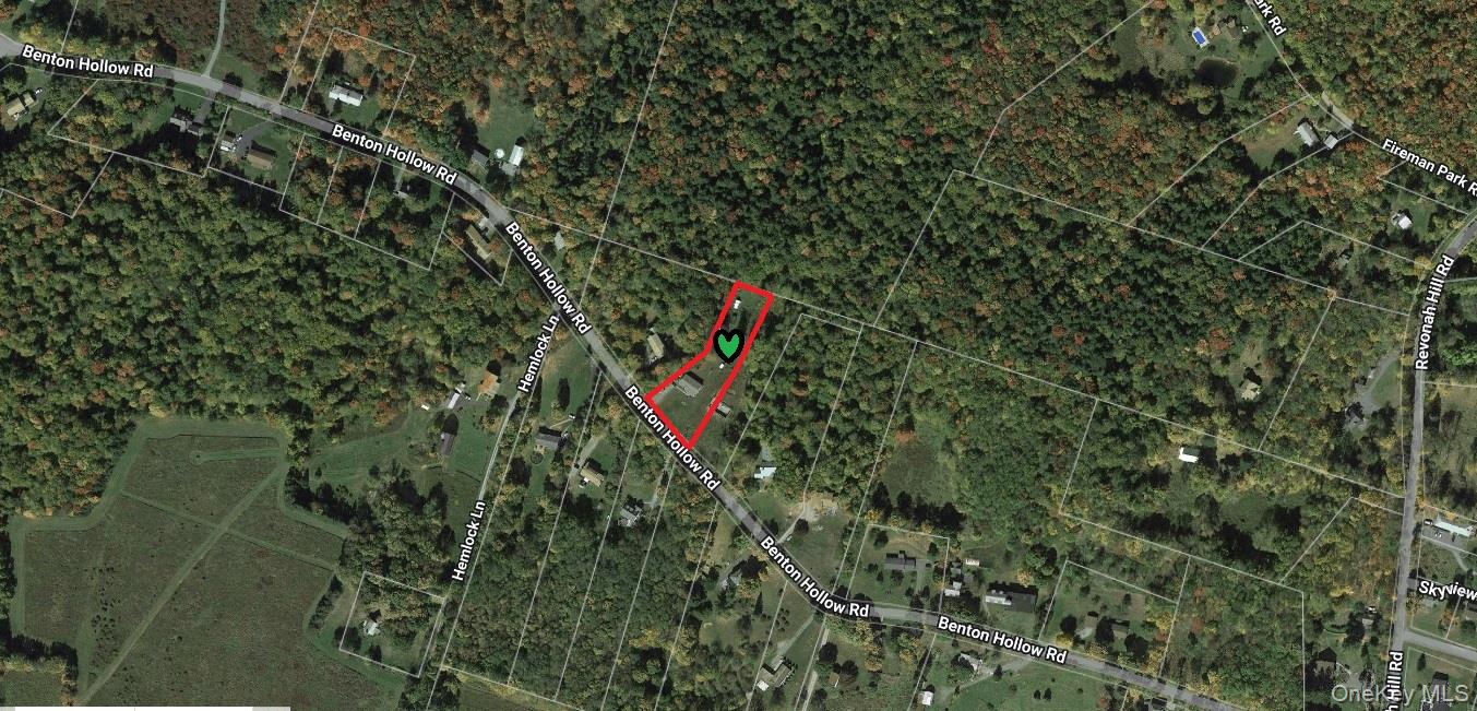 82 Benton Hollow Road Liberty, NY 12754 - Photo 33 of 36 a view of a forest with a tree