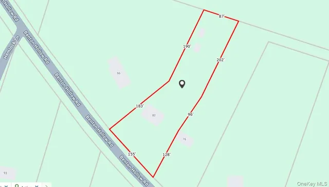 a view of a forest with a tree