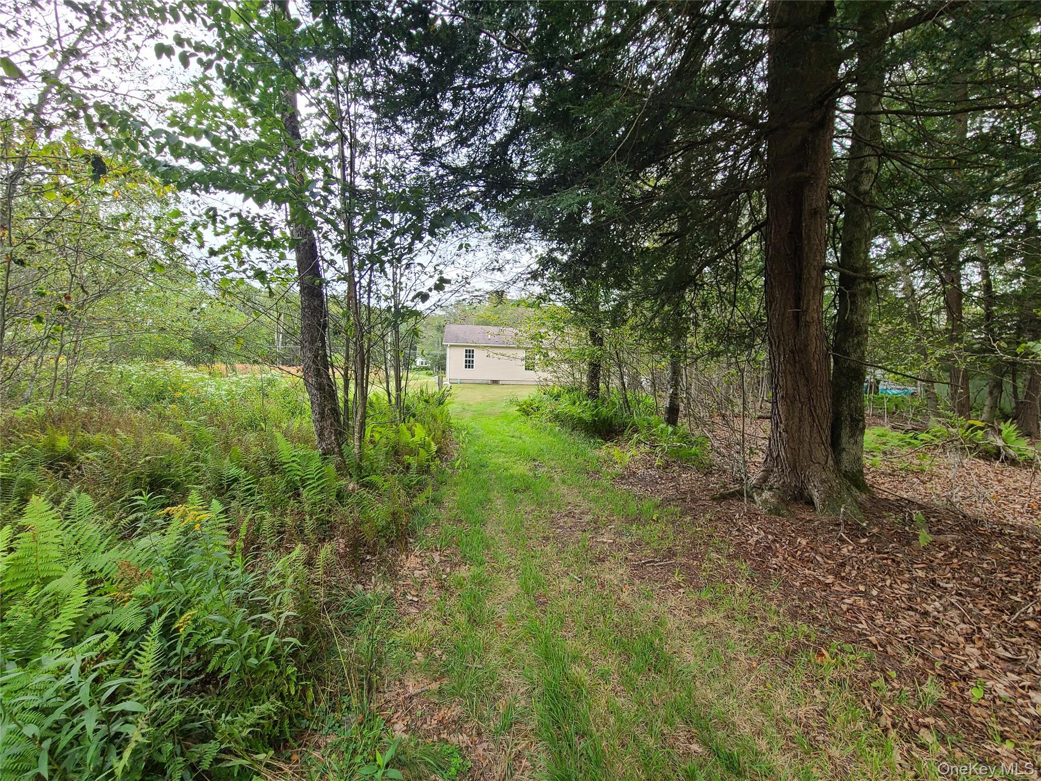 82 Benton Hollow Road Liberty, NY 12754 - Photo 4 of 36 a view of a big yard with large trees