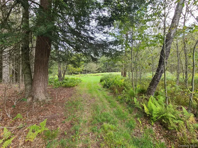 a view of a yard with a tree