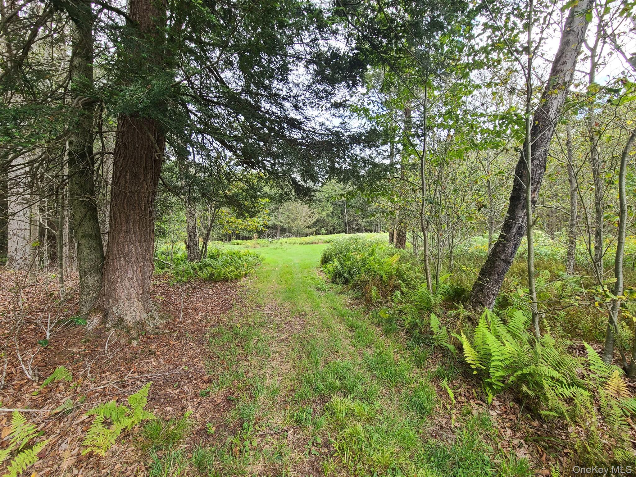 82 Benton Hollow Road Liberty, NY 12754 - Photo 5 of 36 a view of a yard with a tree