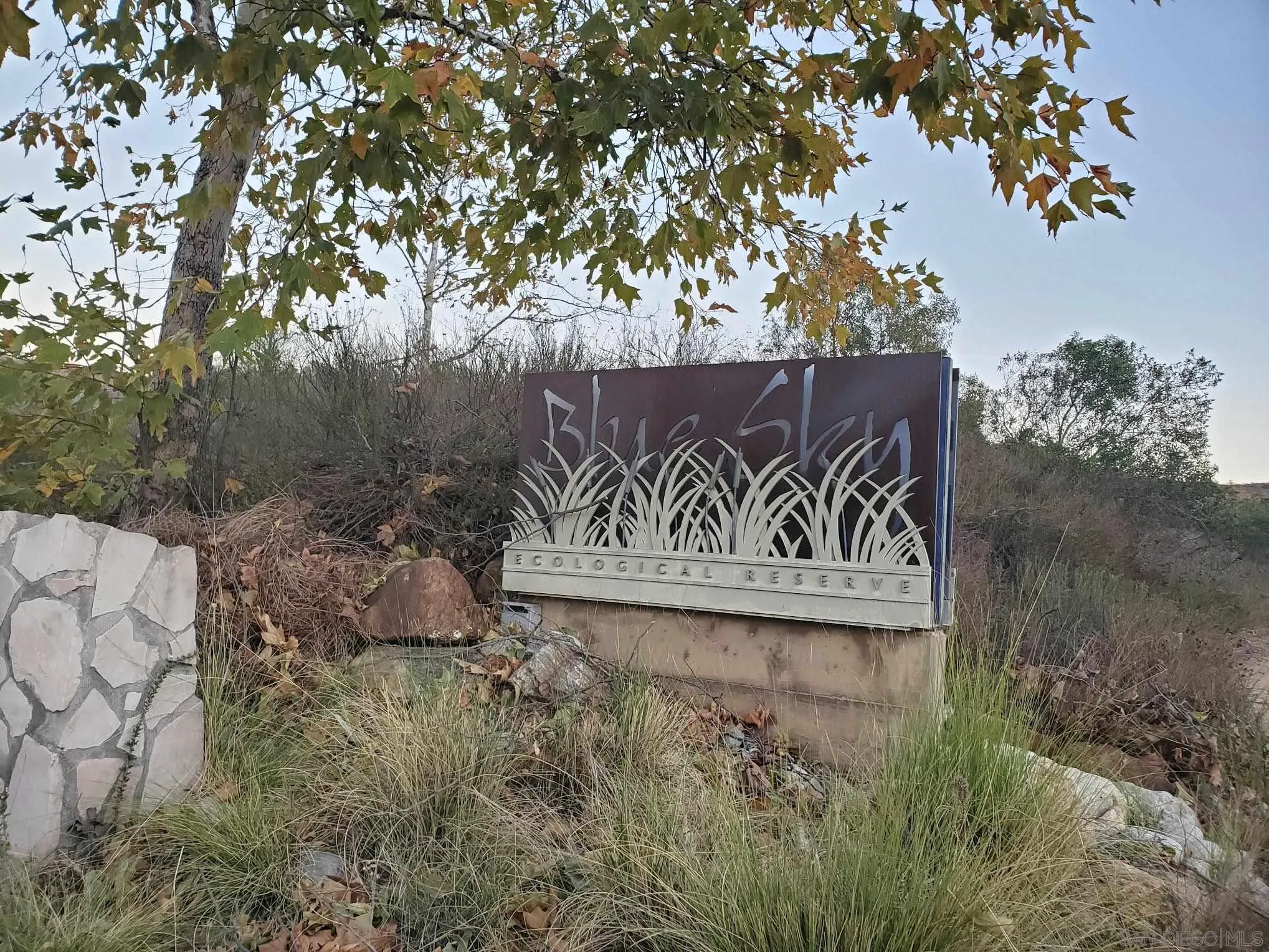 14316 Twisted Branch Road Poway, CA 92064 - Photo 35 of 36 a view of outdoor space with garden and trees