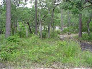Lot 11 Ruth Road Freeport, FL 32439 - Photo 1 of 3 Primary Photo