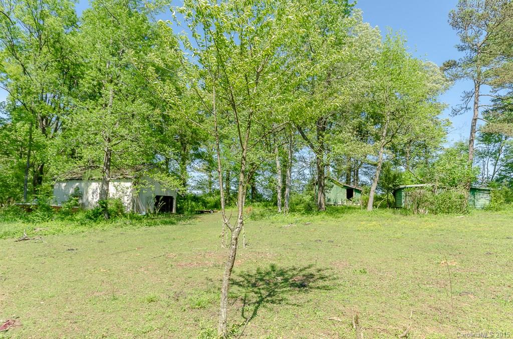 4401 Austin Road Monroe, NC 28112 - Photo 19 of 22 a tall tree in middle of green field