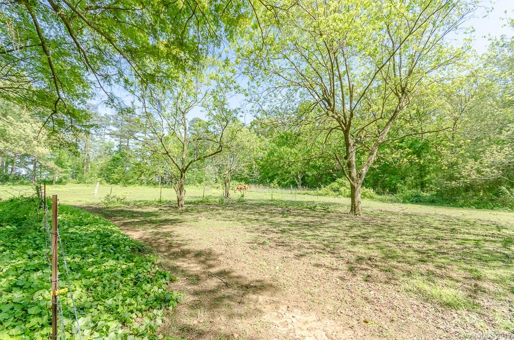 4401 Austin Road Monroe, NC 28112 - Photo 21 of 22 a view of a field with trees