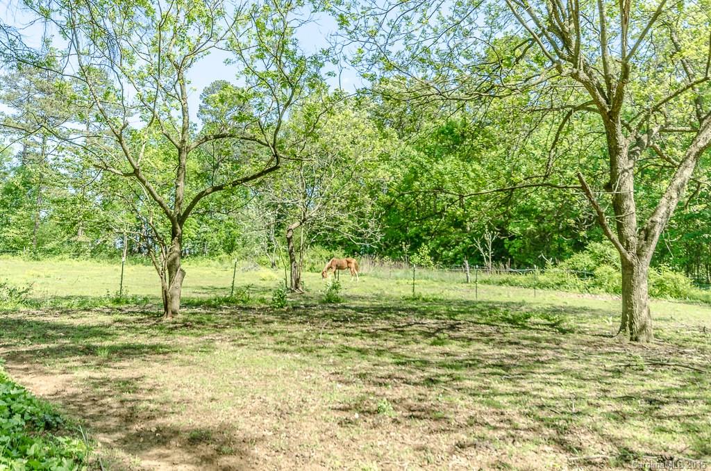 4401 Austin Road Monroe, NC 28112 - Photo 22 of 22 a backyard of a house with lots of green space and fountain