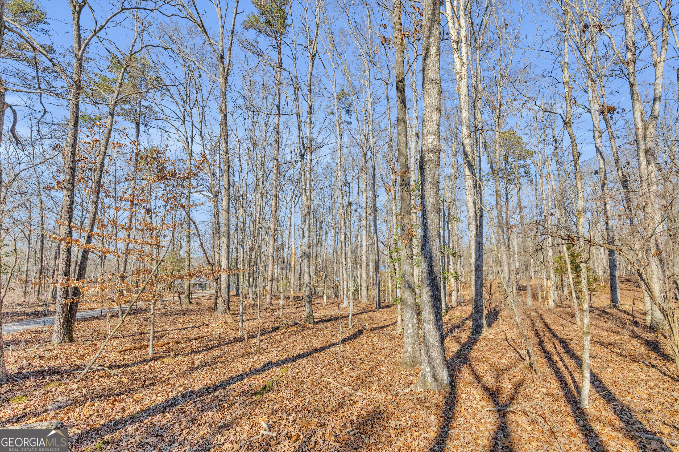 0 Wineberger Road Hartwell, GA 30643 - Photo 4 of 11