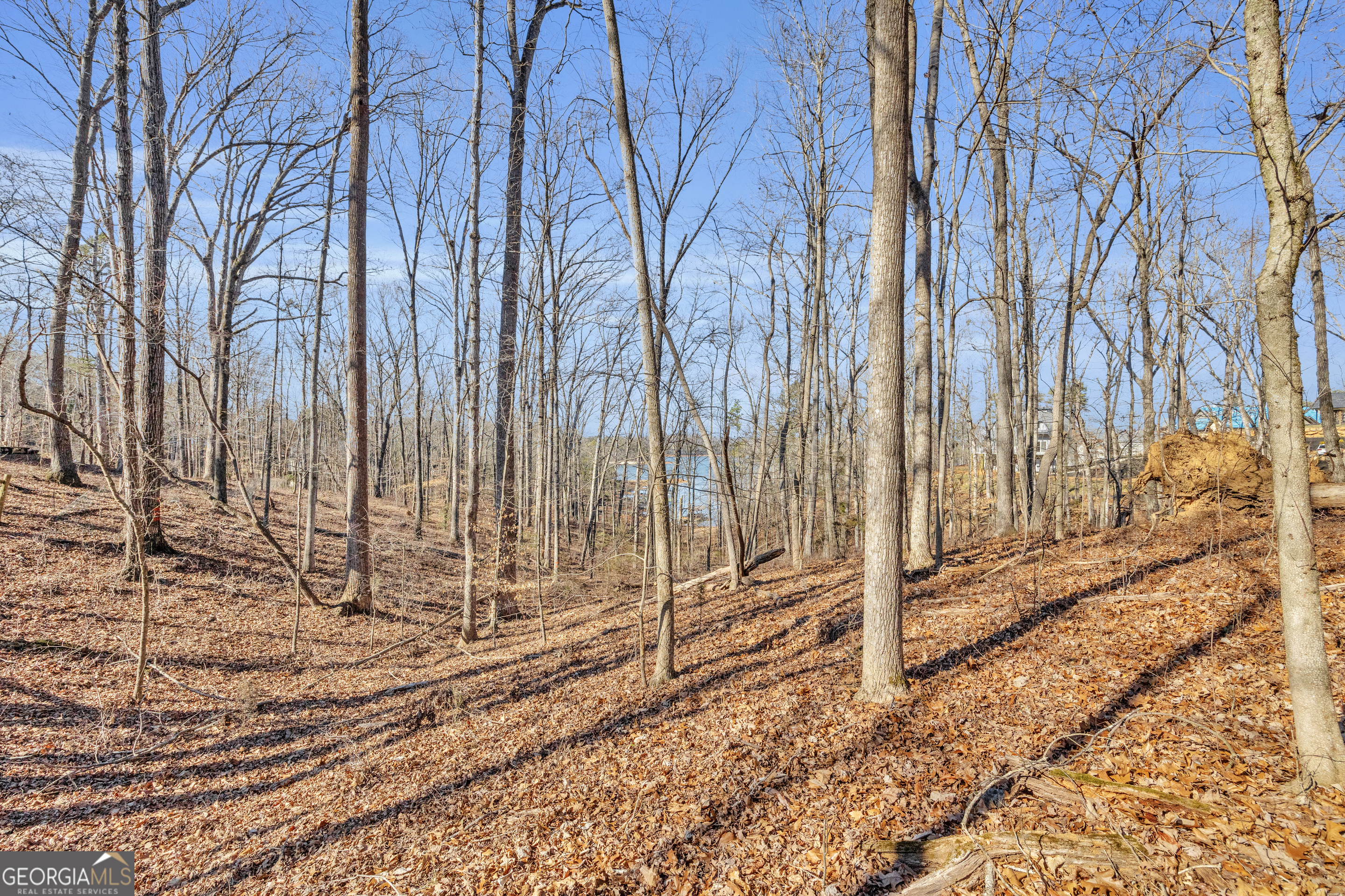 0 Wineberger Road Hartwell, GA 30643 - Photo 6 of 11