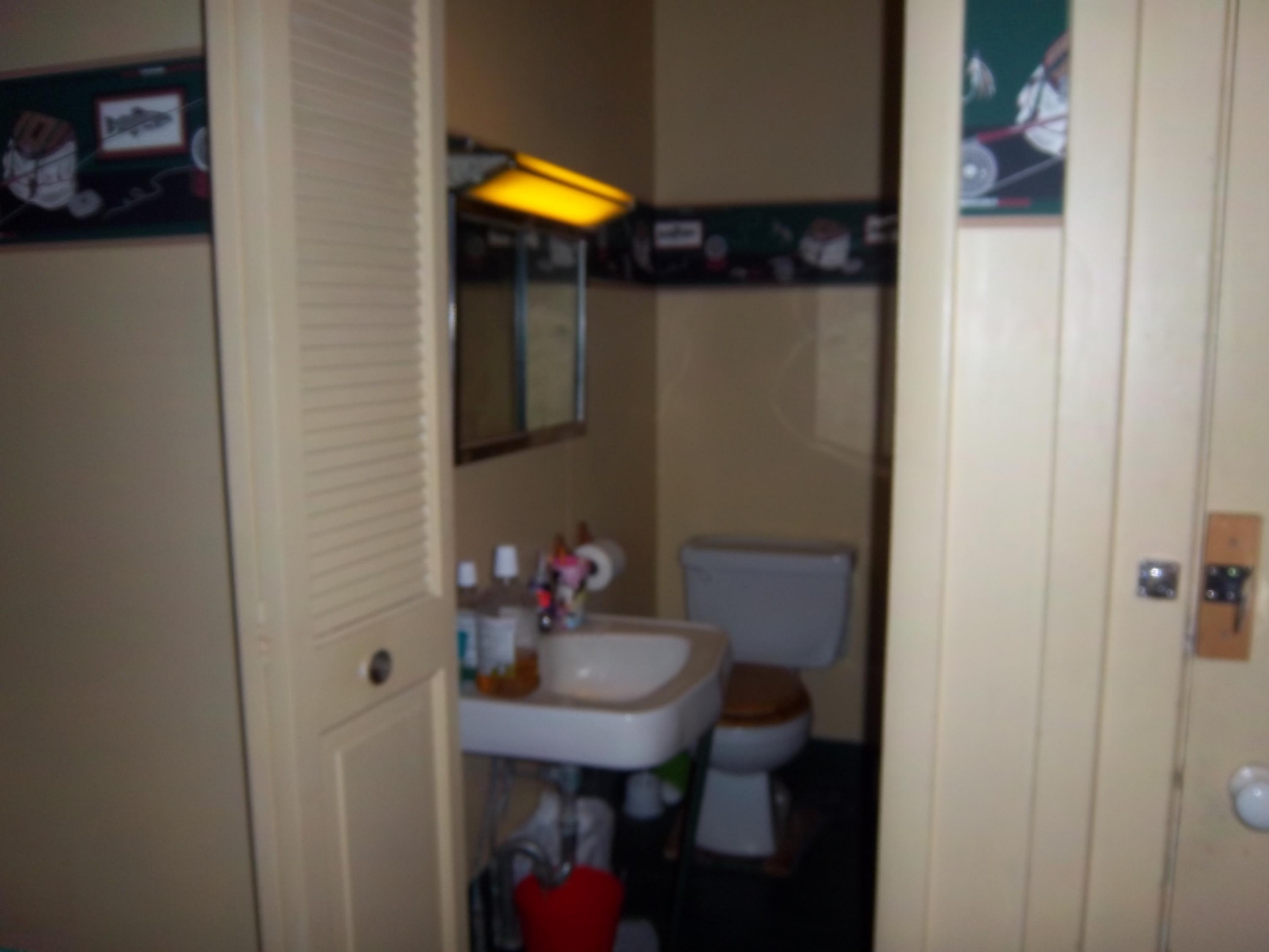 4320 Reading Road East Osseo, MI 49266 - Photo 26 of 45 100_0552