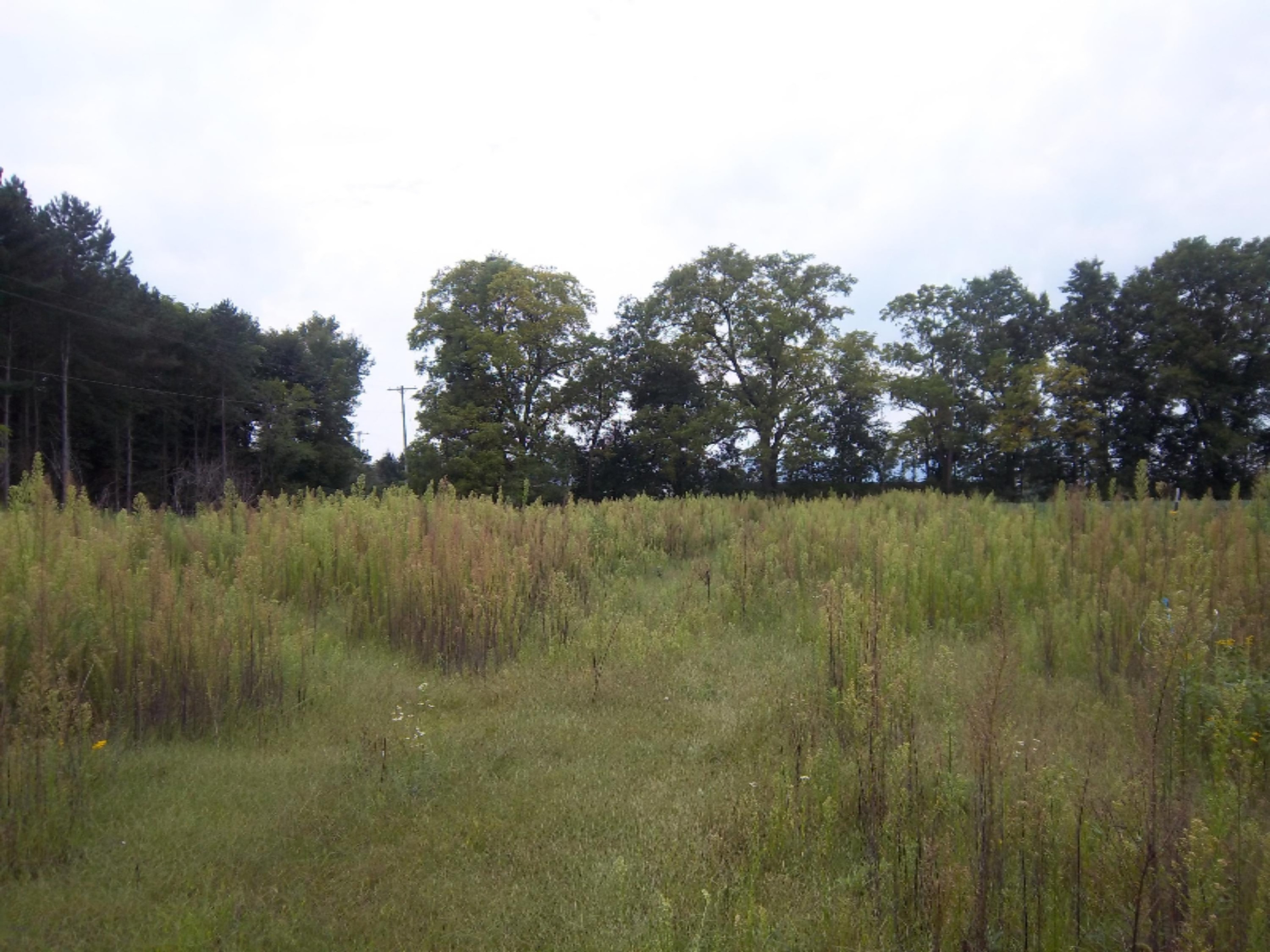 4320 Reading Road East Osseo, MI 49266 - Photo 40 of 45 100_0572