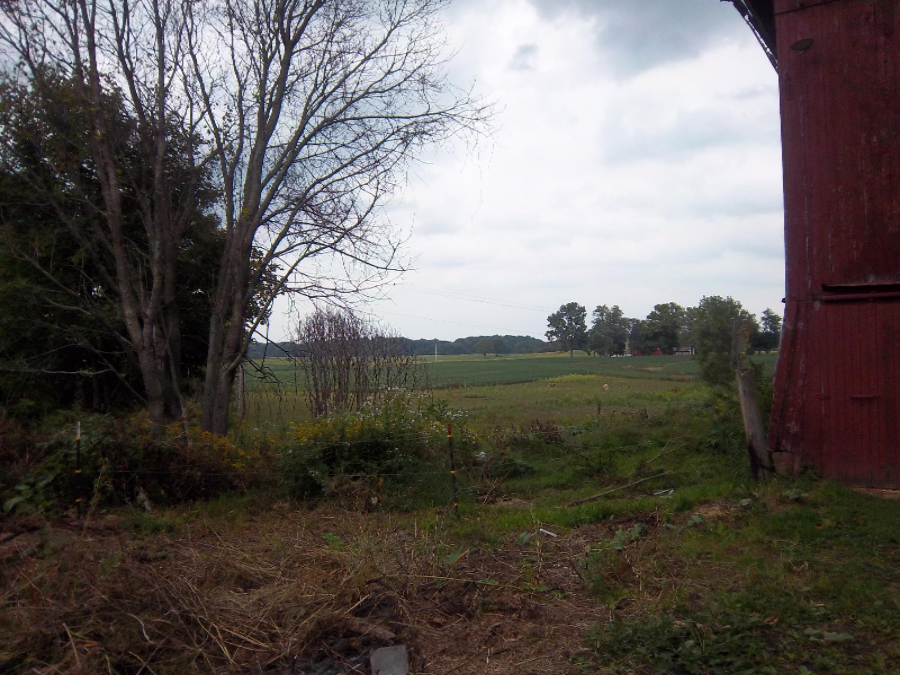 4320 Reading Road East Osseo, MI 49266 - Photo 41 of 45 100_0568