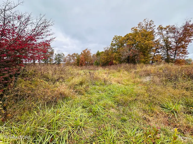 $65,000 | 4.14-acres Nashville Highway, Deer Lodge, TN 37726