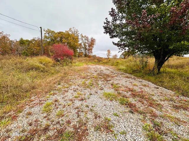 $65,000 | 4.14-acres Nashville Highway, Deer Lodge, TN 37726