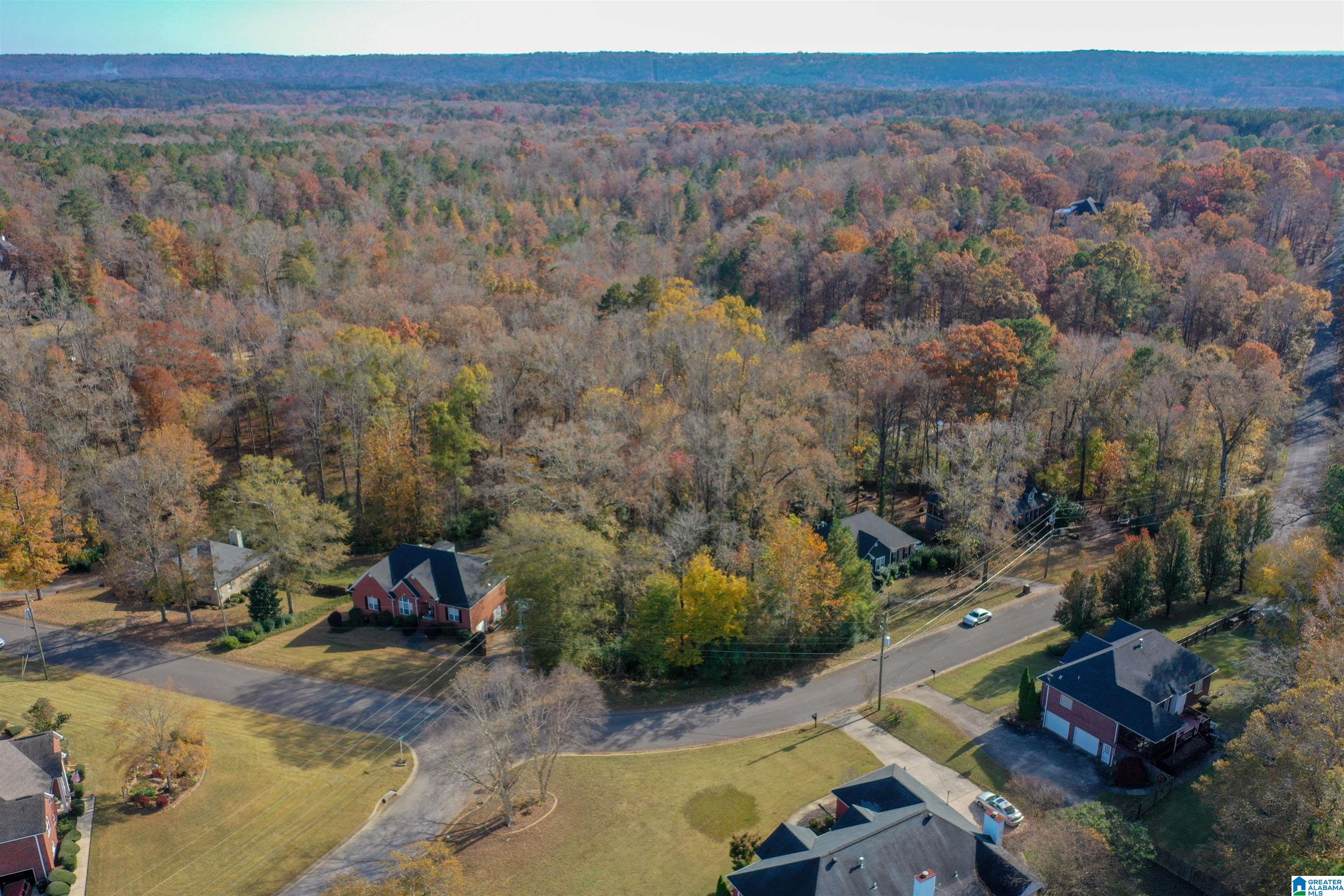 8278 Serene Lake Road, Unit 61 McCalla, AL 35111 - Photo 9 of 18