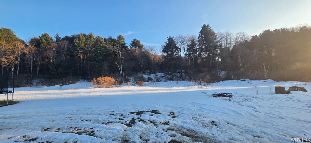 5817 Peth Road Great Valley, NY 14741 - Photo 11 of 48