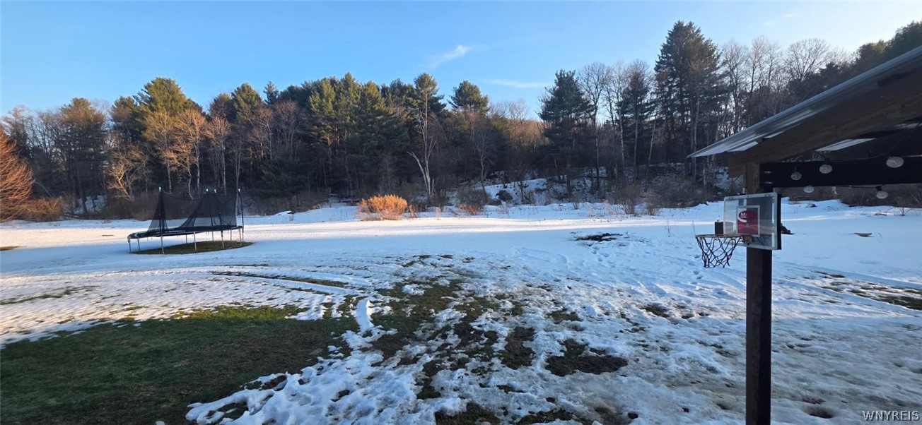 5817 Peth Road Great Valley, NY 14741 - Photo 9 of 48