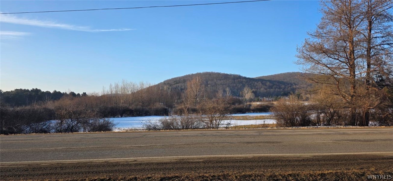 5817 Peth Road Great Valley, NY 14741 - Photo 10 of 48