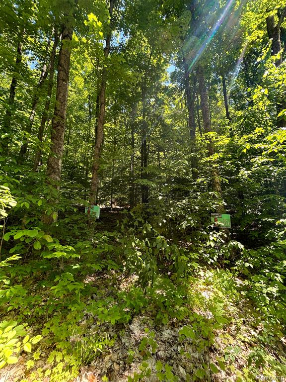 Vl Smith Lake Road Mancelona, MI 49659 - Photo 8 of 9