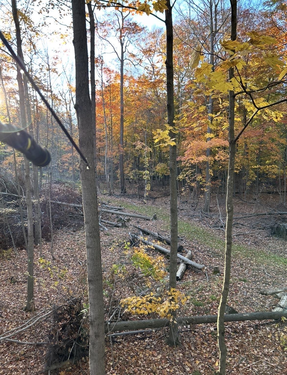 0 Lange Road Bridgeport, MI 48722 - Photo 7 of 11