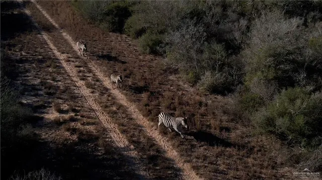 a view of city and ocean