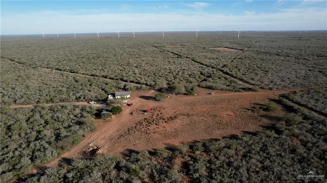 a view of a dry yard