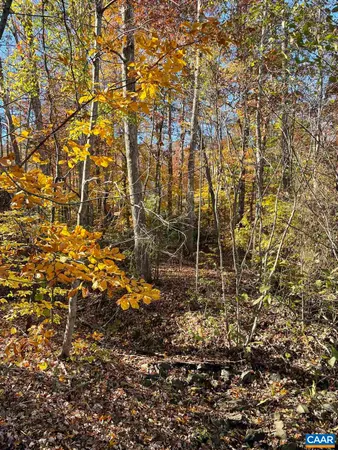 a view of outdoor space and a street view