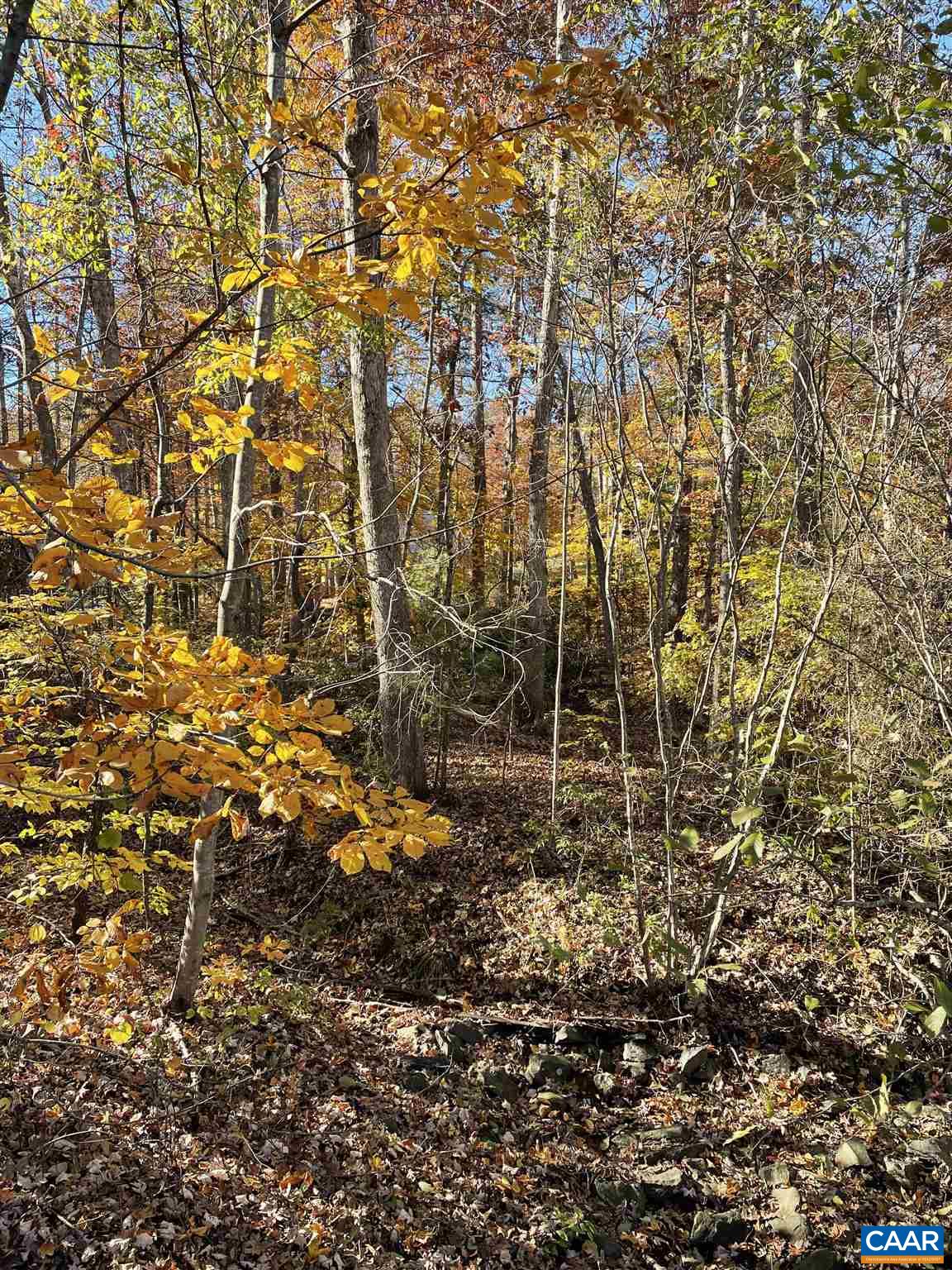 20 Chippewa Lane Palmyra, VA 22963 - Photo 3 of 4 a view of outdoor space and a street view