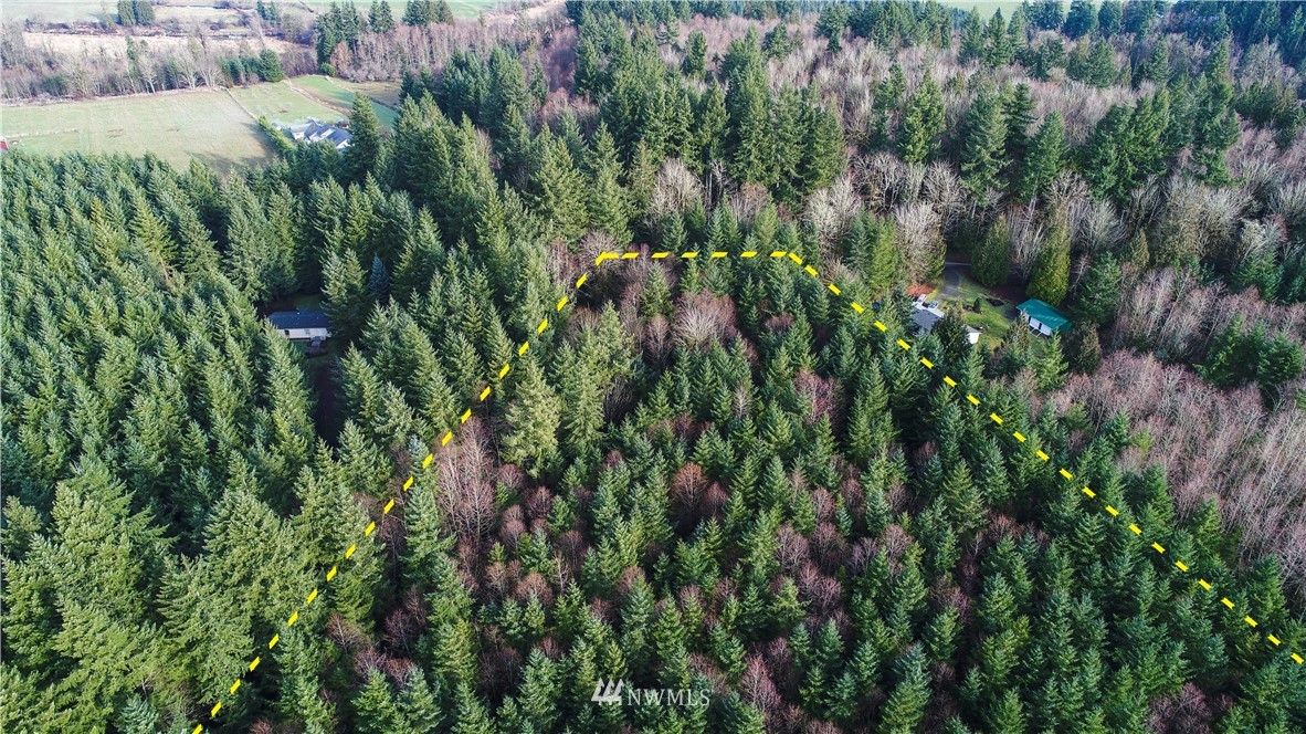 10323 Lundeen Road Southwest Rochester, WA 98579 - Photo 13 of 22