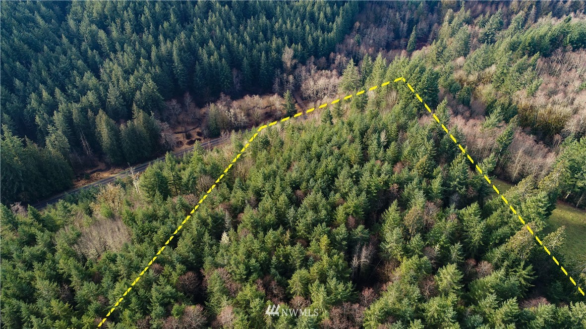 10323 Lundeen Road Southwest Rochester, WA 98579 - Photo 14 of 22