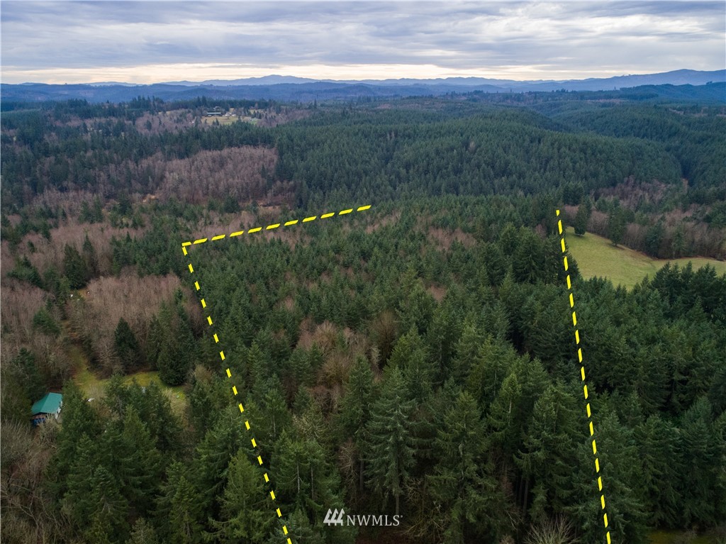 10323 Lundeen Road Southwest Rochester, WA 98579 - Photo 9 of 22