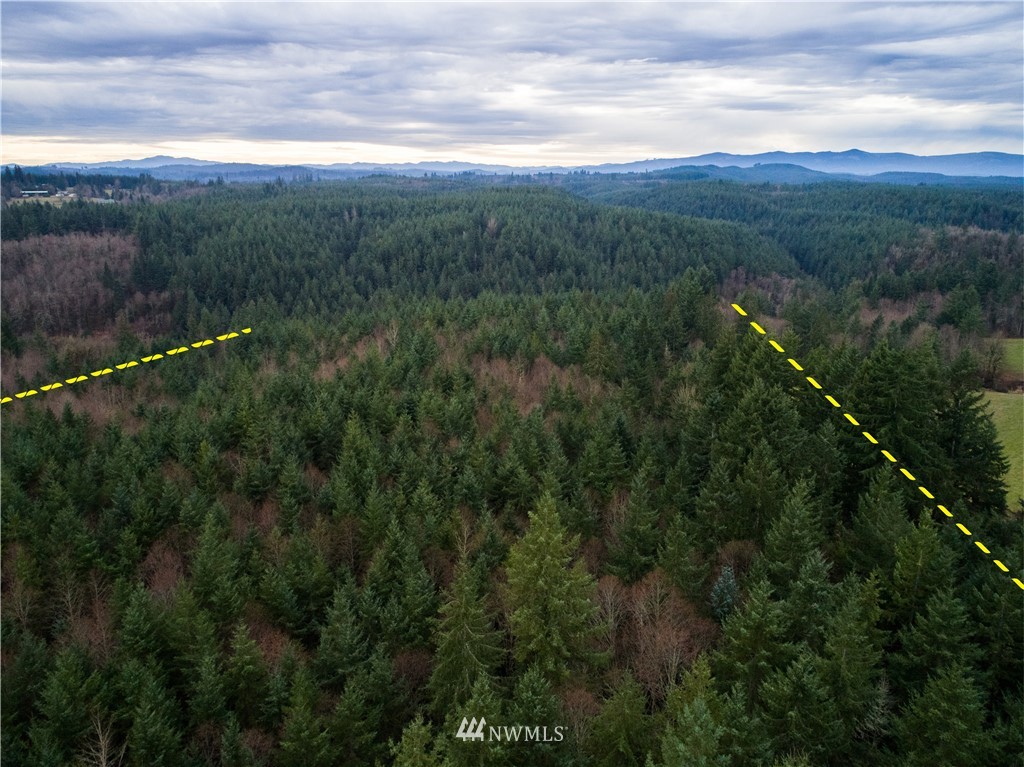 10323 Lundeen Road Southwest Rochester, WA 98579 - Photo 10 of 22