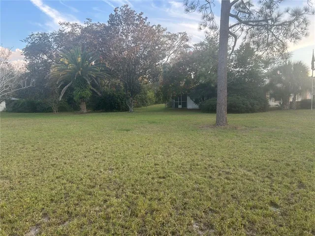 a view of a big yard with trees