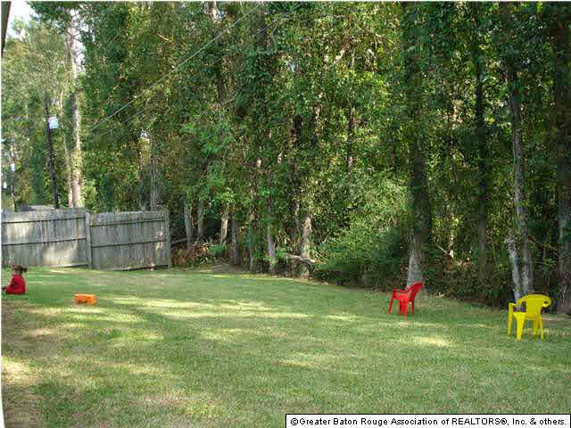 44077 Lake Village Road Prairieville, LA 70769 - Photo 3 of 3