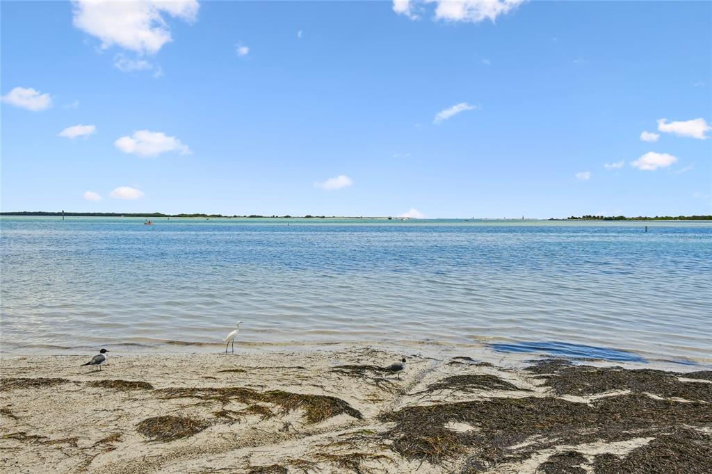 623 Palm Boulevard Dunedin, FL 34698 - Photo 39 of 55 a view of a ocean view