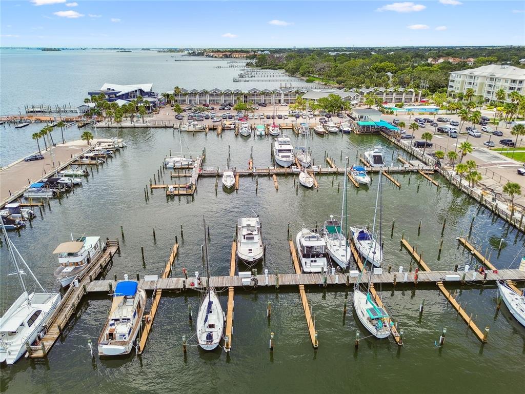 623 Palm Boulevard Dunedin, FL 34698 - Photo 40 of 55 view of ocean with boats and trees in the background