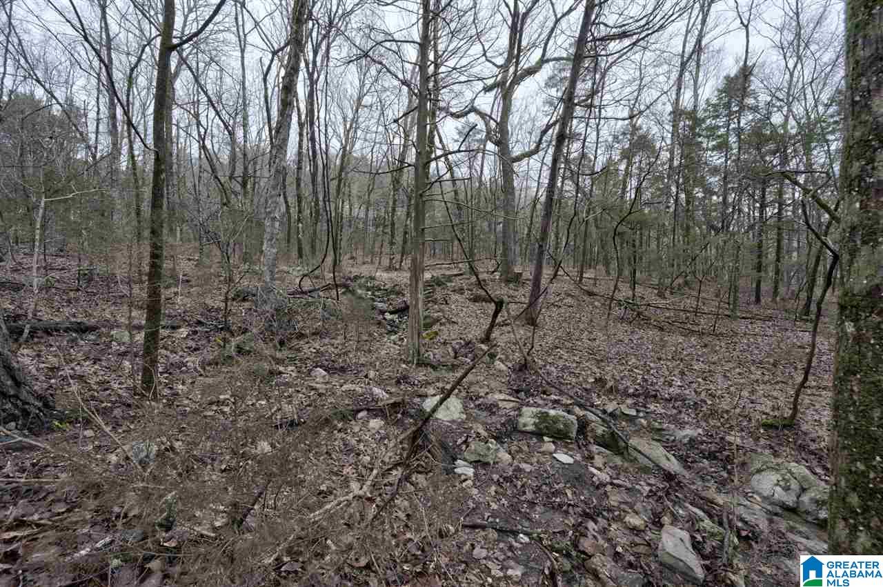 896 Cedar Cliff Road Springville, AL 35146 - Photo 18 of 45