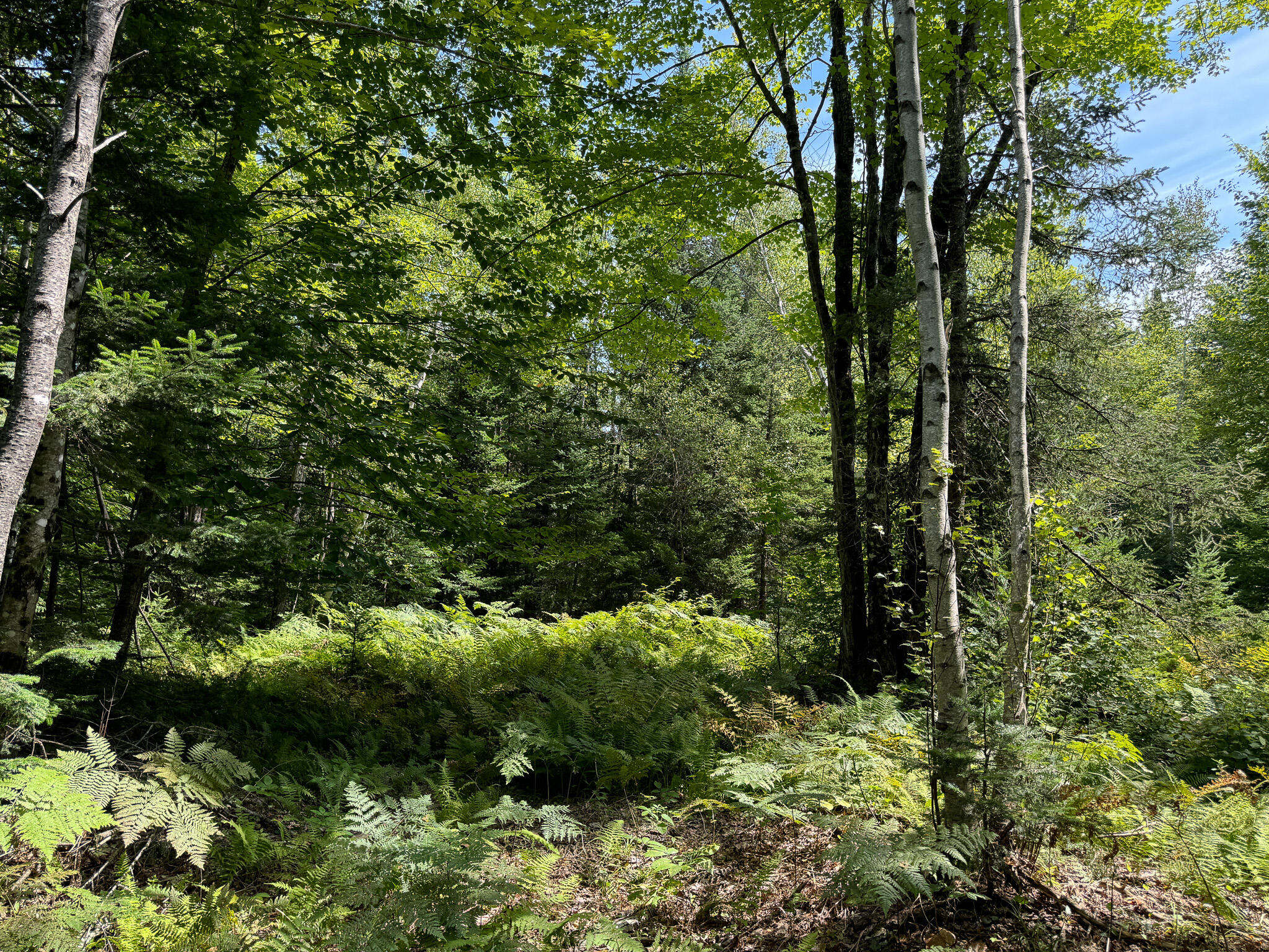 M9-l20-1 Valley Road Etna, ME 04434 - Photo 23 of 33