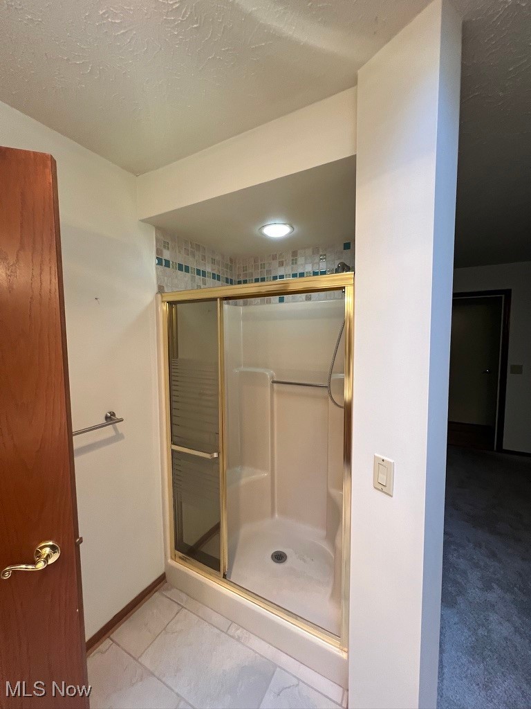 11331 Palmer Road Painesville, OH 44077 - Photo 25 of 47 Bathroom featuring a shower with shower door and a textured ceiling