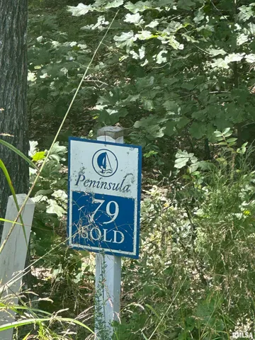 $45,000 | 0 Hawthorn Point, Goreville, IL 62939