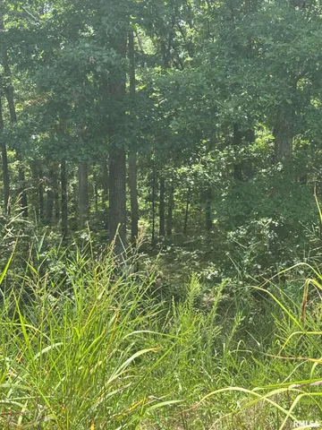 $45,000 | 0 Hawthorn Point, Goreville, IL 62939