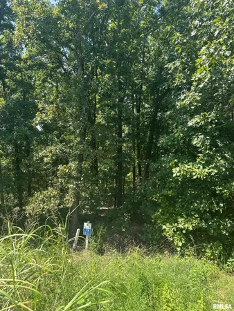 $35,000 | 0 Hawthorn Point, Goreville, IL 62939