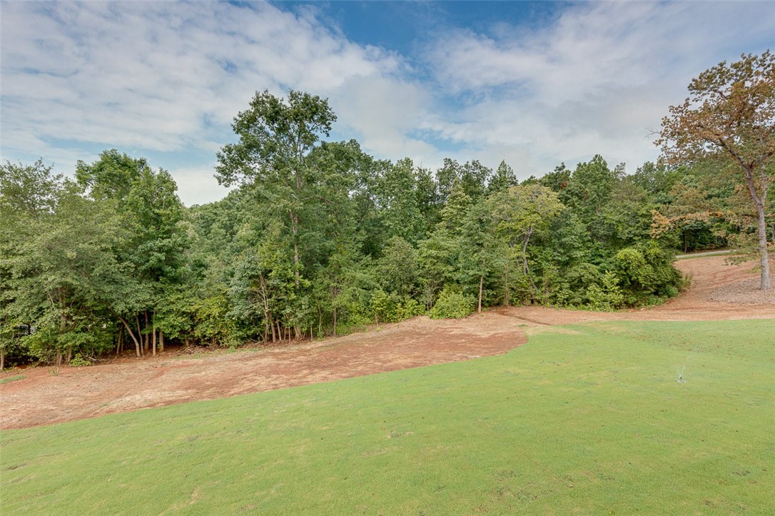 244 Inlet Pointe Drive Anderson, SC 29625 - Photo 35 of 39
