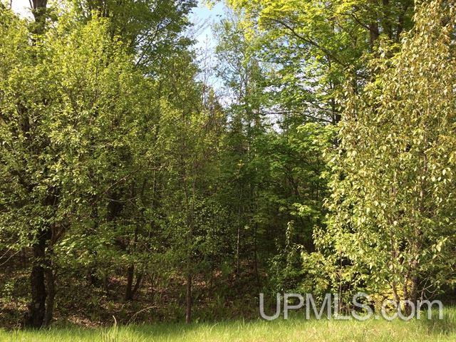 Tbd Arvon Road, Unit ARVON & CONSERVATION RDS Lanse, MI 49946 - Photo 5 of 19