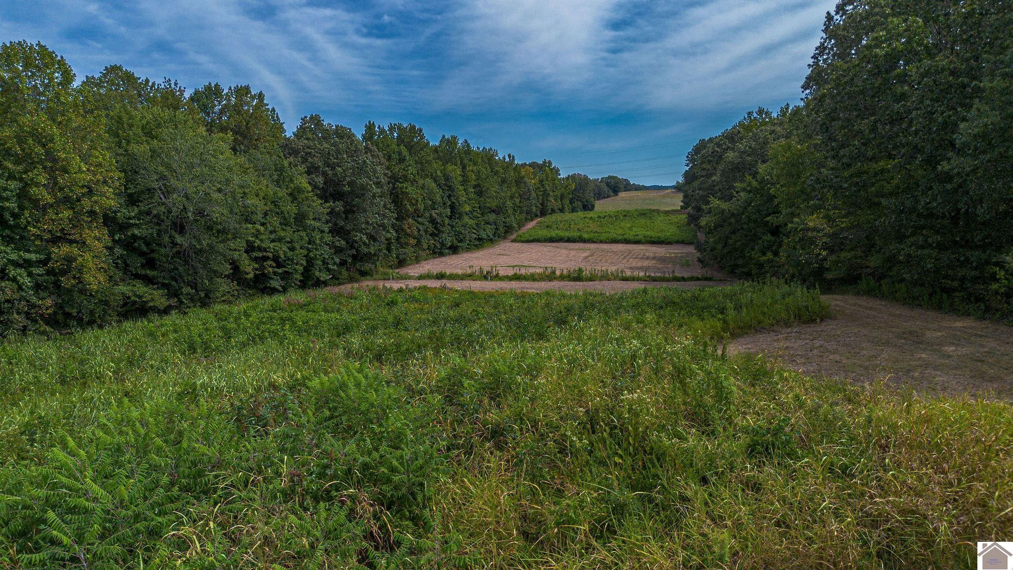 0 Corinth Church Road Grand Rivers, KY 42045 - Photo 40 of 49 Photo 40